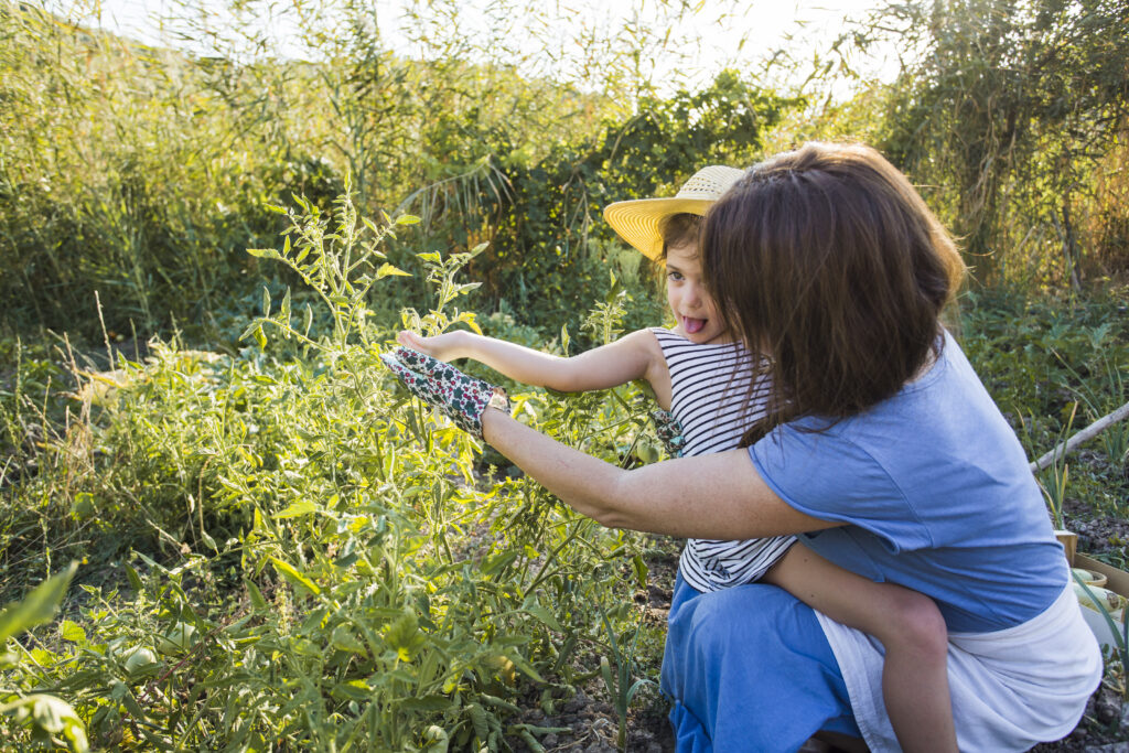 Soins verts : quand la nature soutient la santé mentale